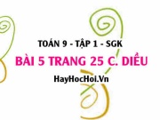 Bài 5 trang 25 Toán 9 tập 1 Cánh Diều